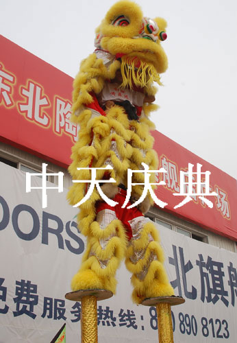 梅花桩表演