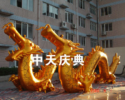 10米金龙